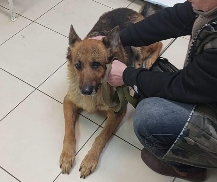 Benka - Zdjęcie 10