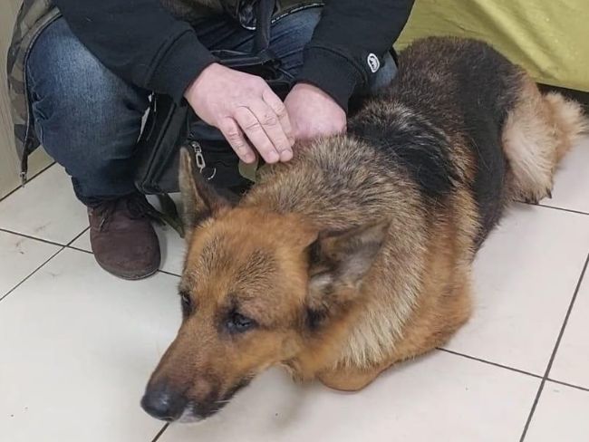 Benka - Zdjęcie 2