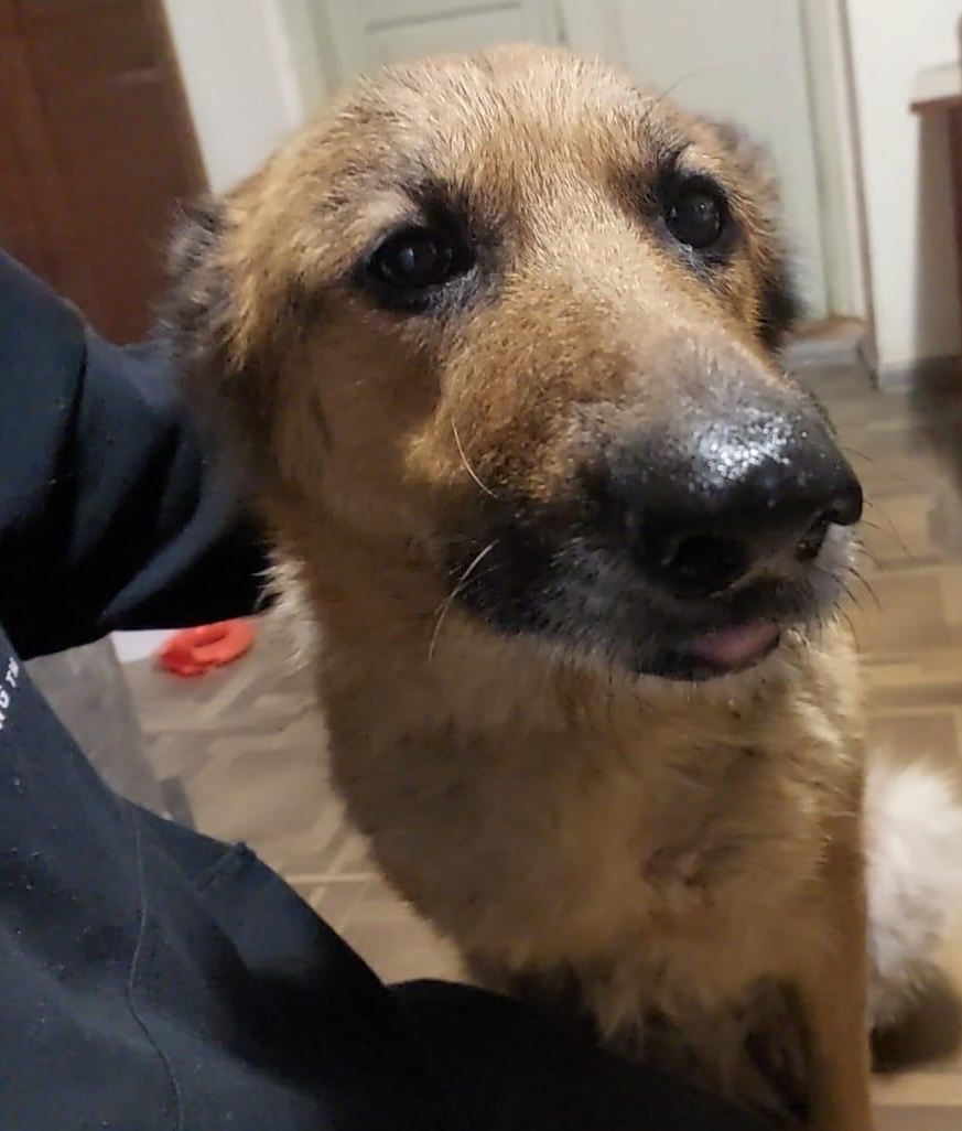 Benka - Zdjęcie 3