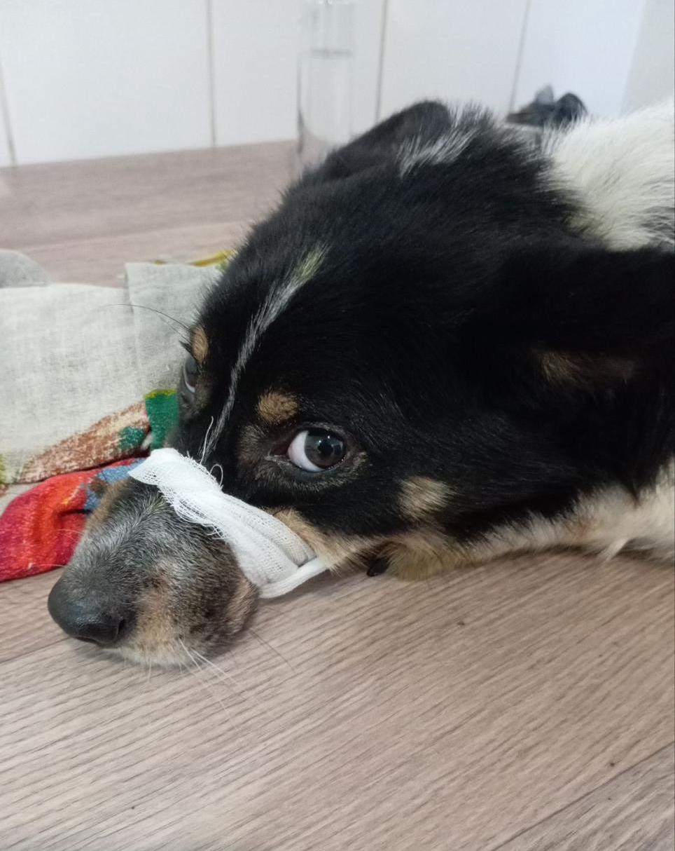 Bruno - Zdjęcie 13