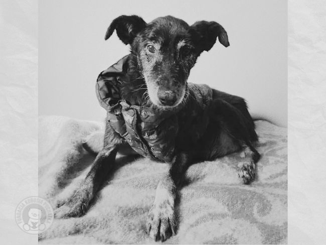 Fiona - Zdjęcie 1