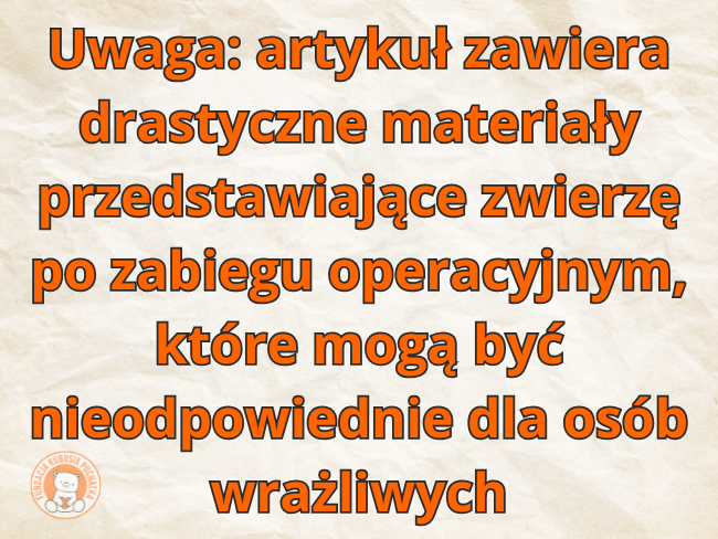 PUCHATEK - Zdjęcie 3