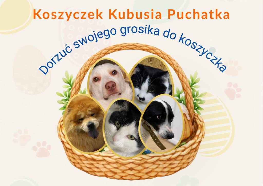 Podziel się dobrem na Wielkanoc – nasz wspólny koszyczek dla zwierząt! - Zdjęcie 1