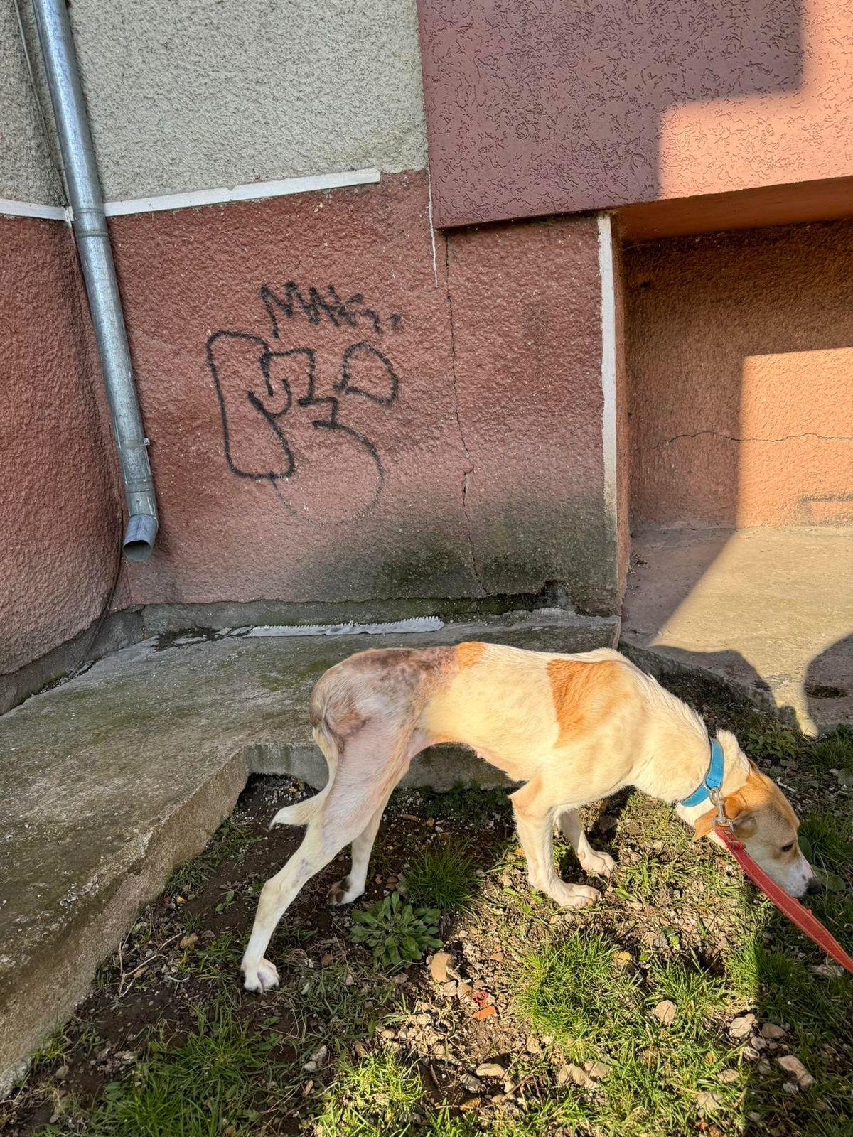 Madi - Zdjęcie 2