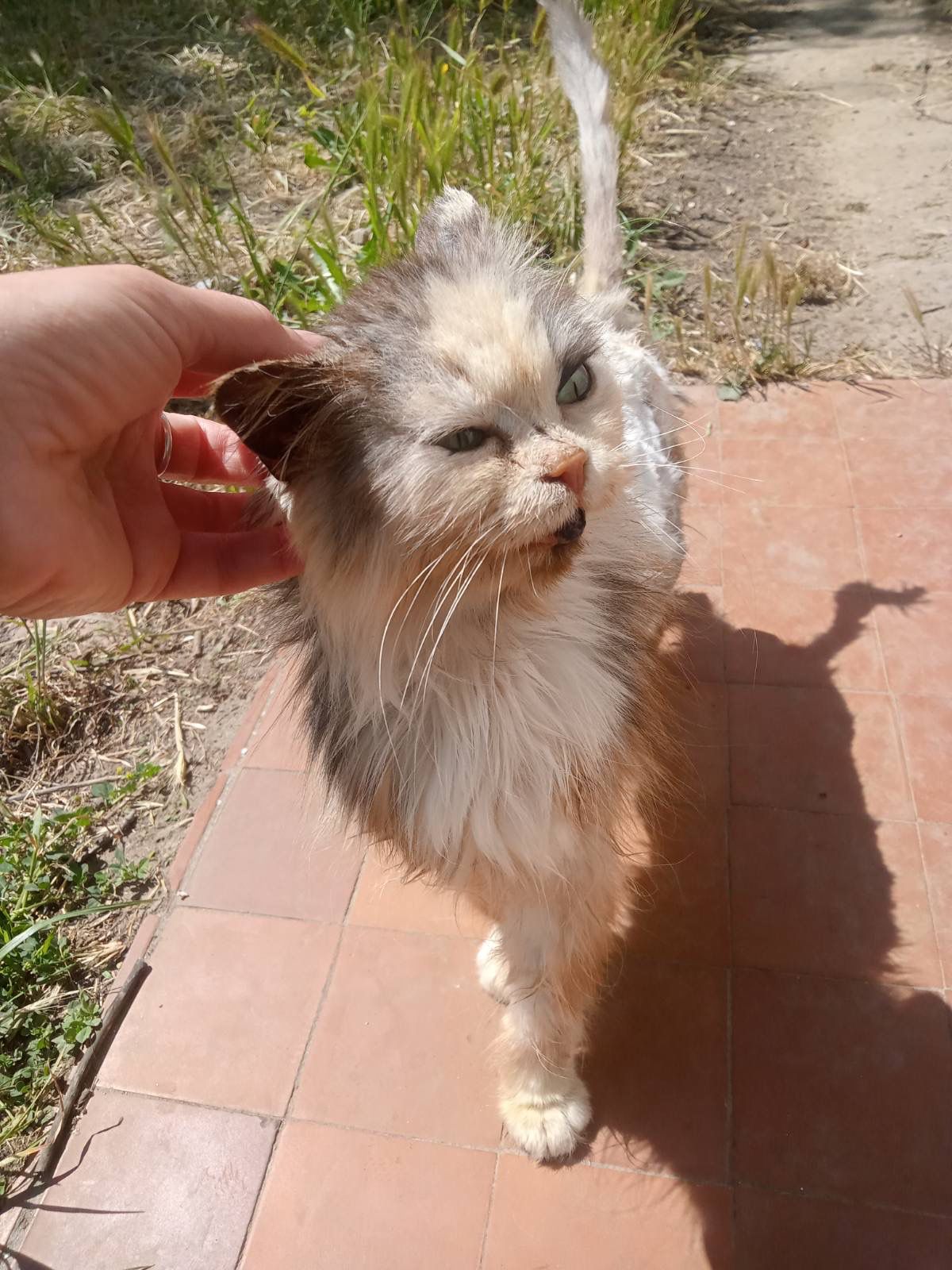 Merida - Zdjęcie 4