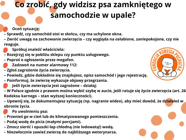 Stop zamykaniu w samochodach. Dołącz do petycji! - Zdjęcie 2