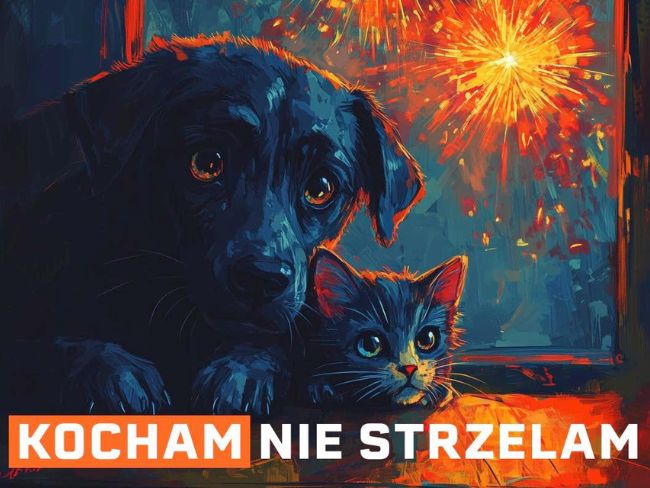 Sylwester bez bólu i strachu! Dołącz do petycji na rzecz ochrony zwierząt! - Zdjęcie 1