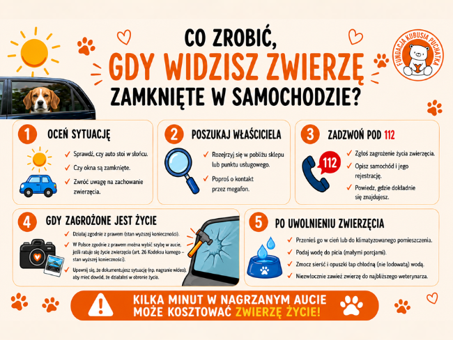 Stop zamykaniu zwierząt w samochodach. Dołącz do petycji! - Zdjęcie 2