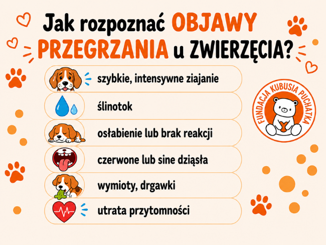Stop zamykaniu zwierząt w samochodach. Dołącz do petycji! - Zdjęcie 3
