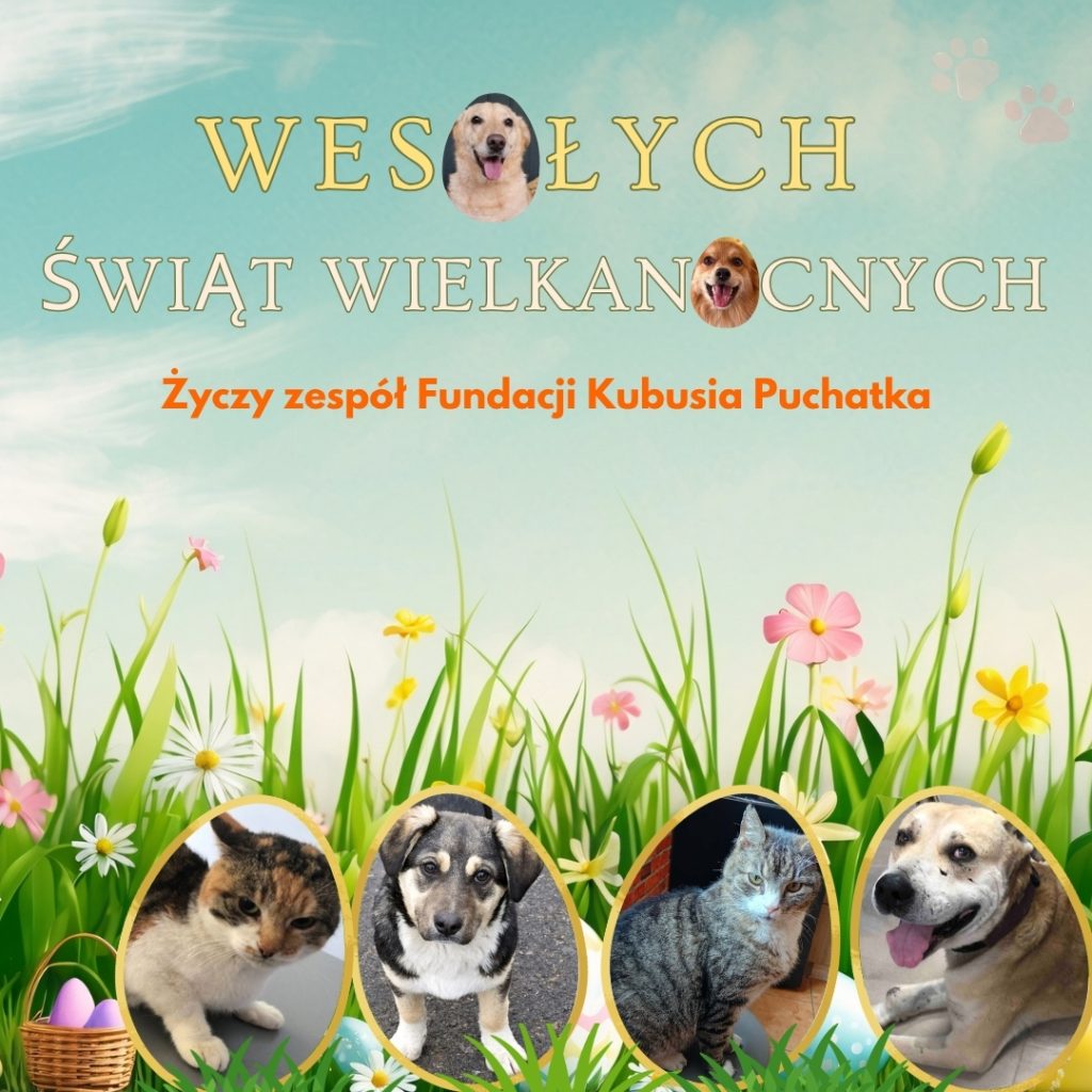 Wspólnie dla zwierząt – wielkanocne życzenia od Fundacji Kubusia Puchatka - Zdjęcie 1